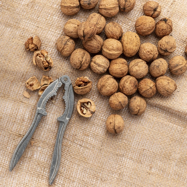تامین کننده گردو سنگی