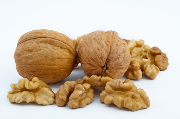 تامین کننده مغز گردو