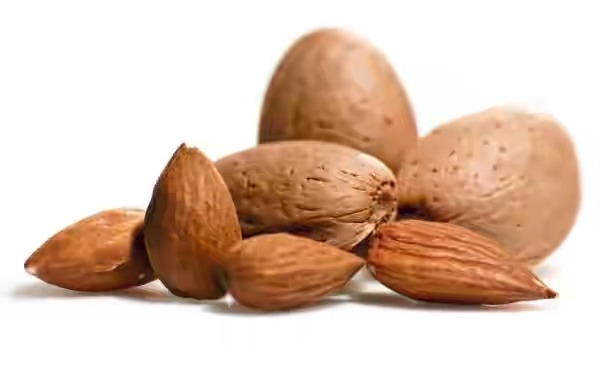 بادام سنگی اصفهان فروش عمده