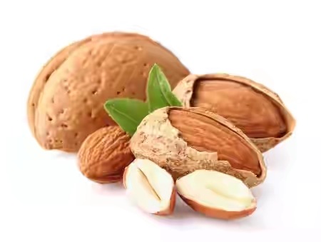 فروش بادام سنگی و کاغذی شیراز