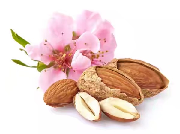 بادام پوست کاغذی خام اصفهان
