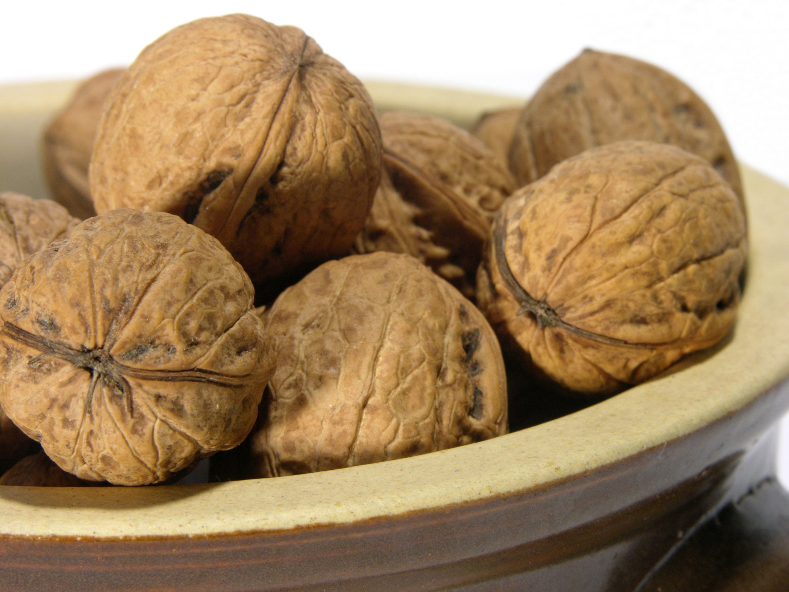 پخش عمده گردو در شیراز