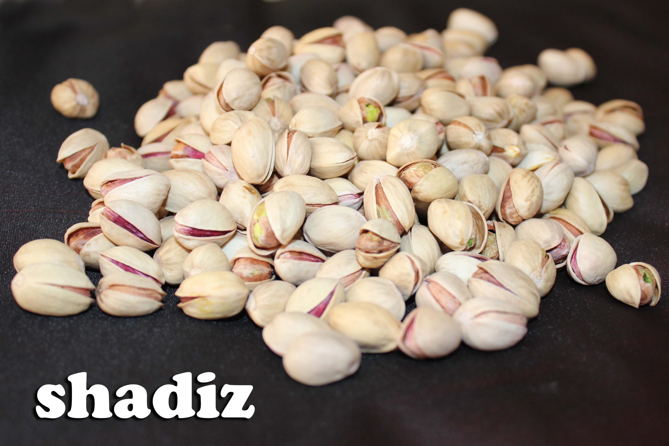 خرید پسته فندقی خام دامغان