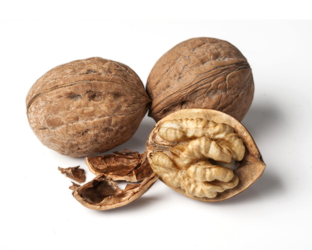 فروش و صادرات مغز گردو