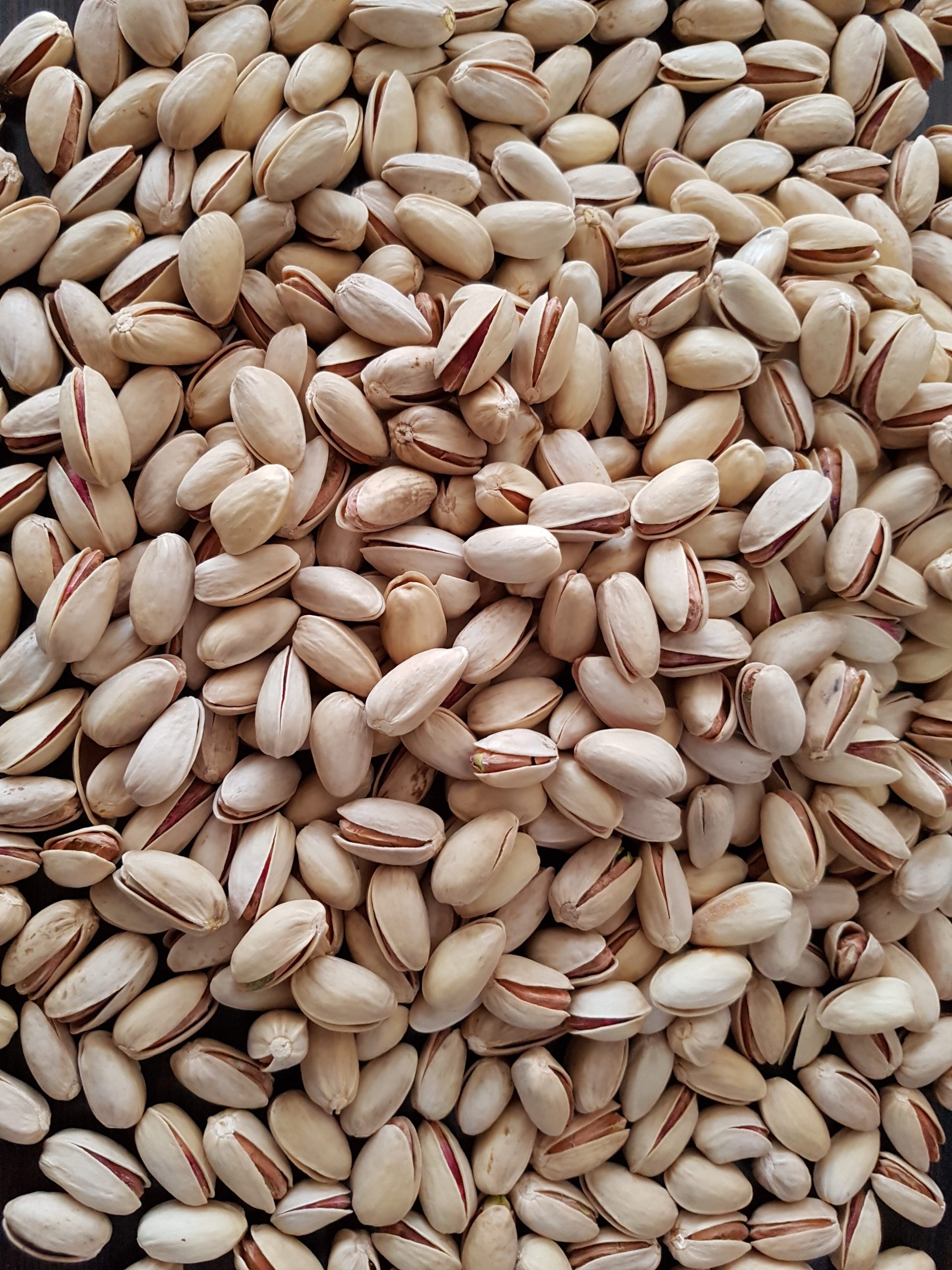 عرضه مستقیم پسته اکبری خندان رفسنجان