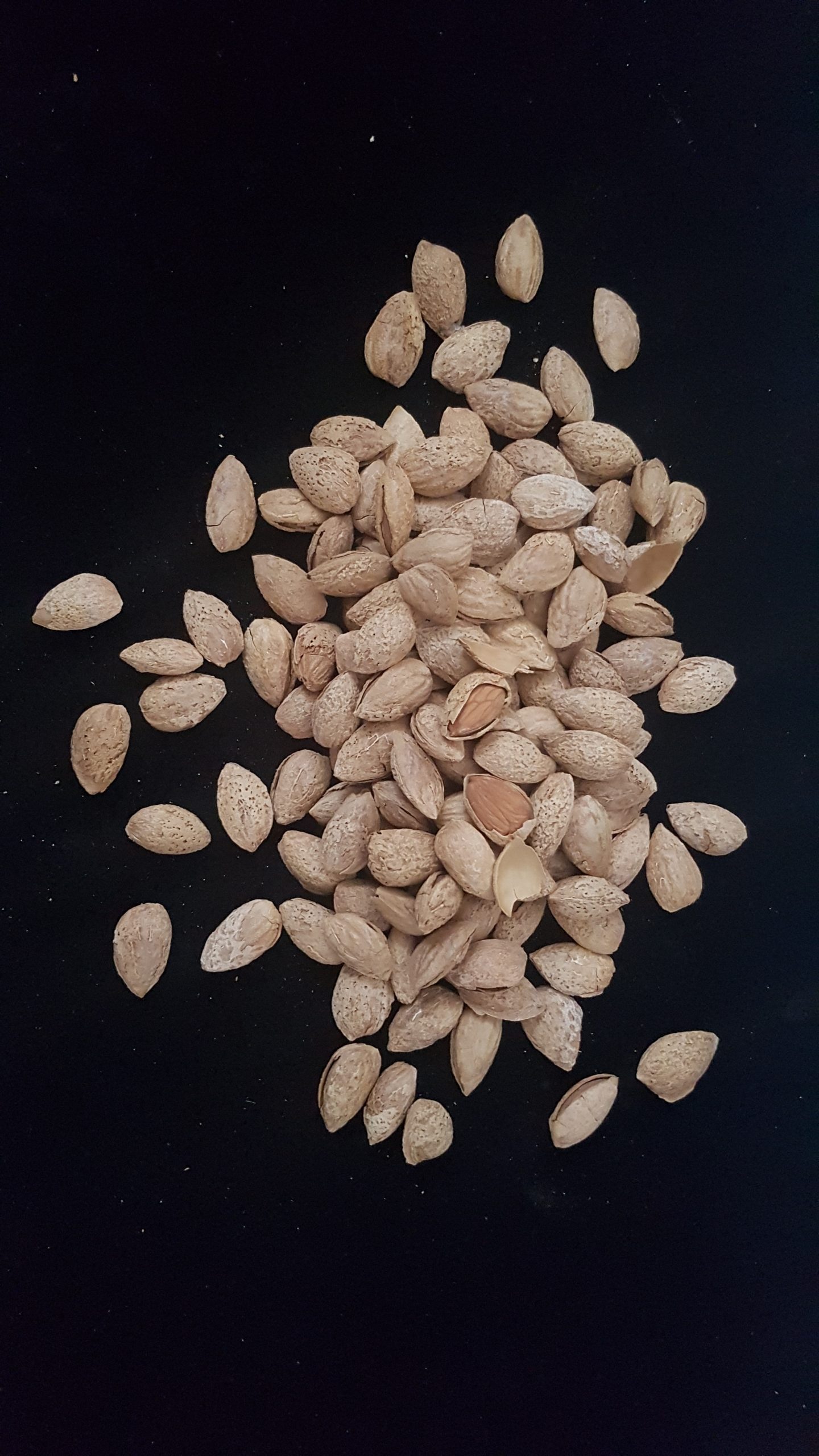 خرید و فروش بادام پوست کاغذی
