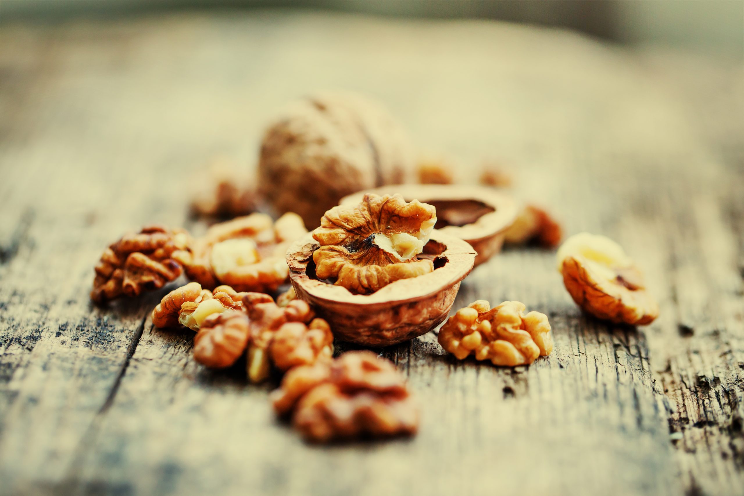 پخش عمده گردوی مرغوب بوانات
