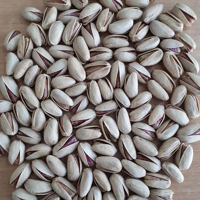 فروش پسته اکبری دستچین کرمان
