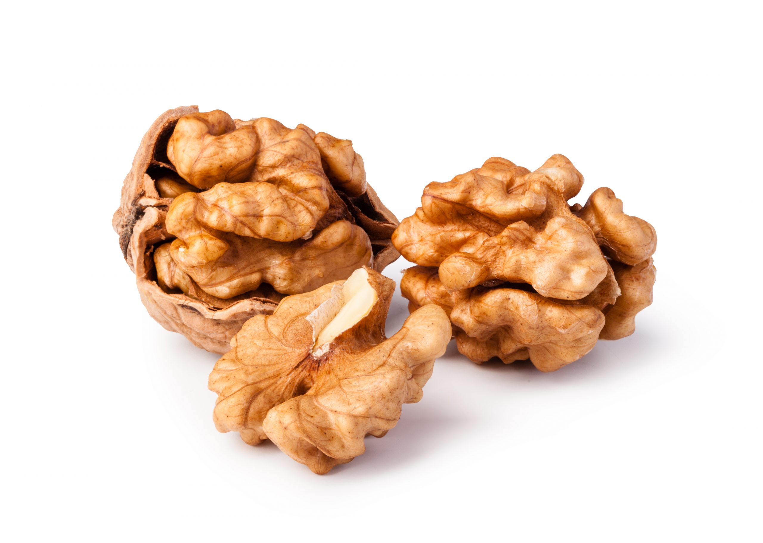 عرضه مغز گردو ایرانی