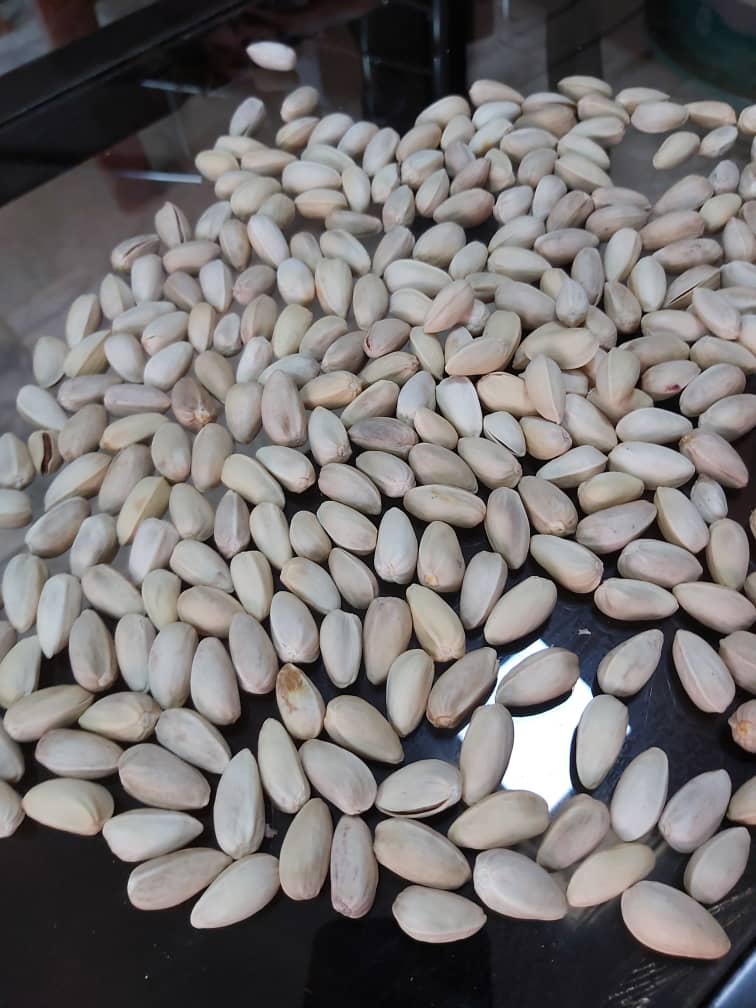 صادرات انواع پسته دهن بست