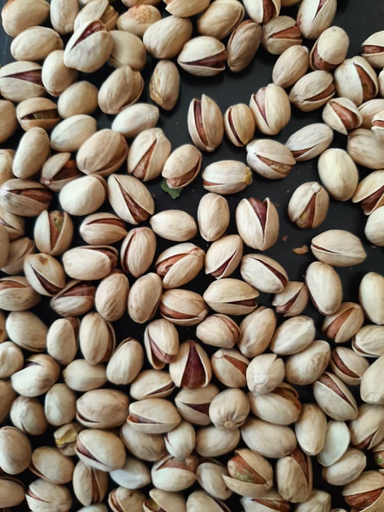 صادرات پسته ایران به گرجستان 