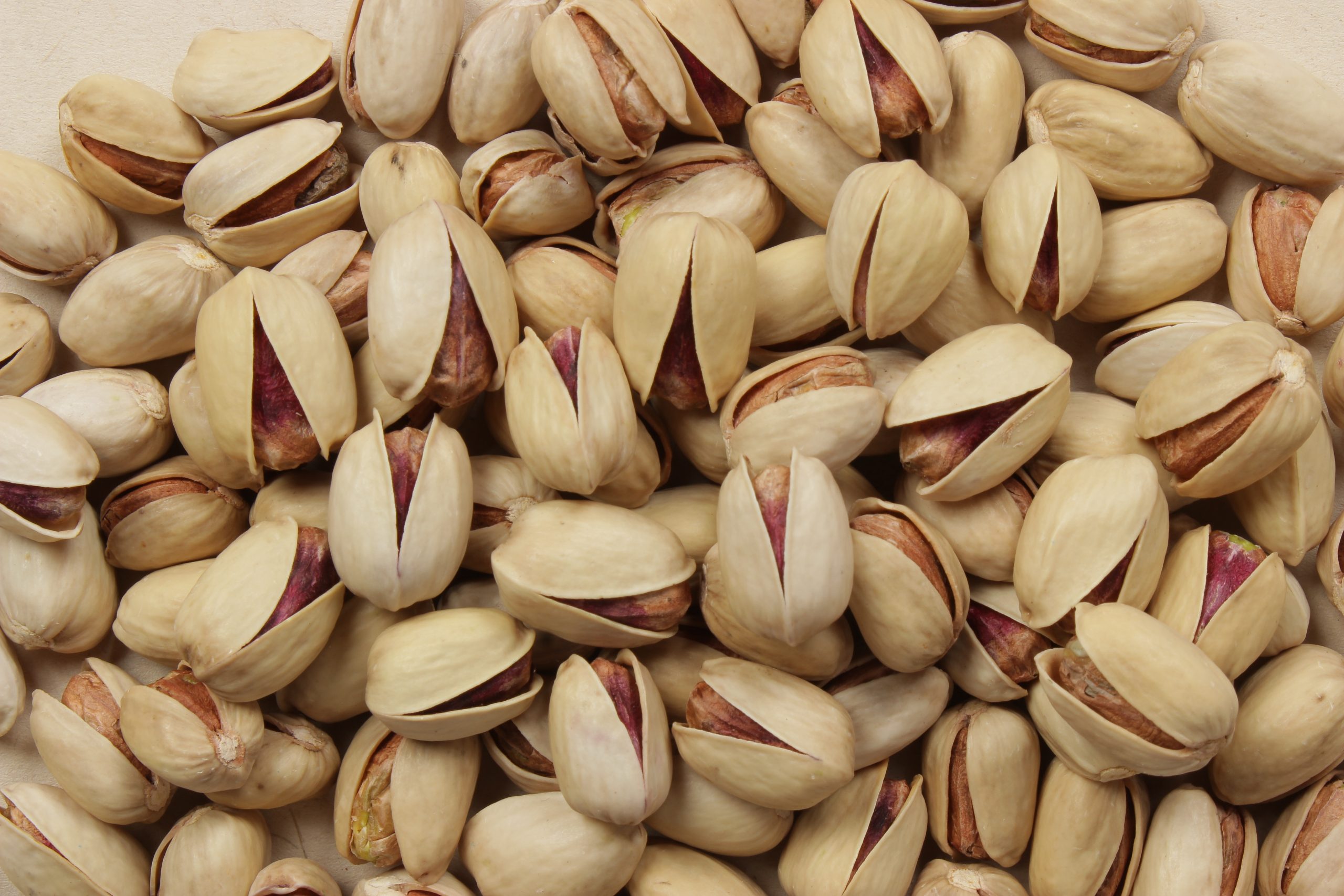 خرید پسته فندقی و کله قوچی