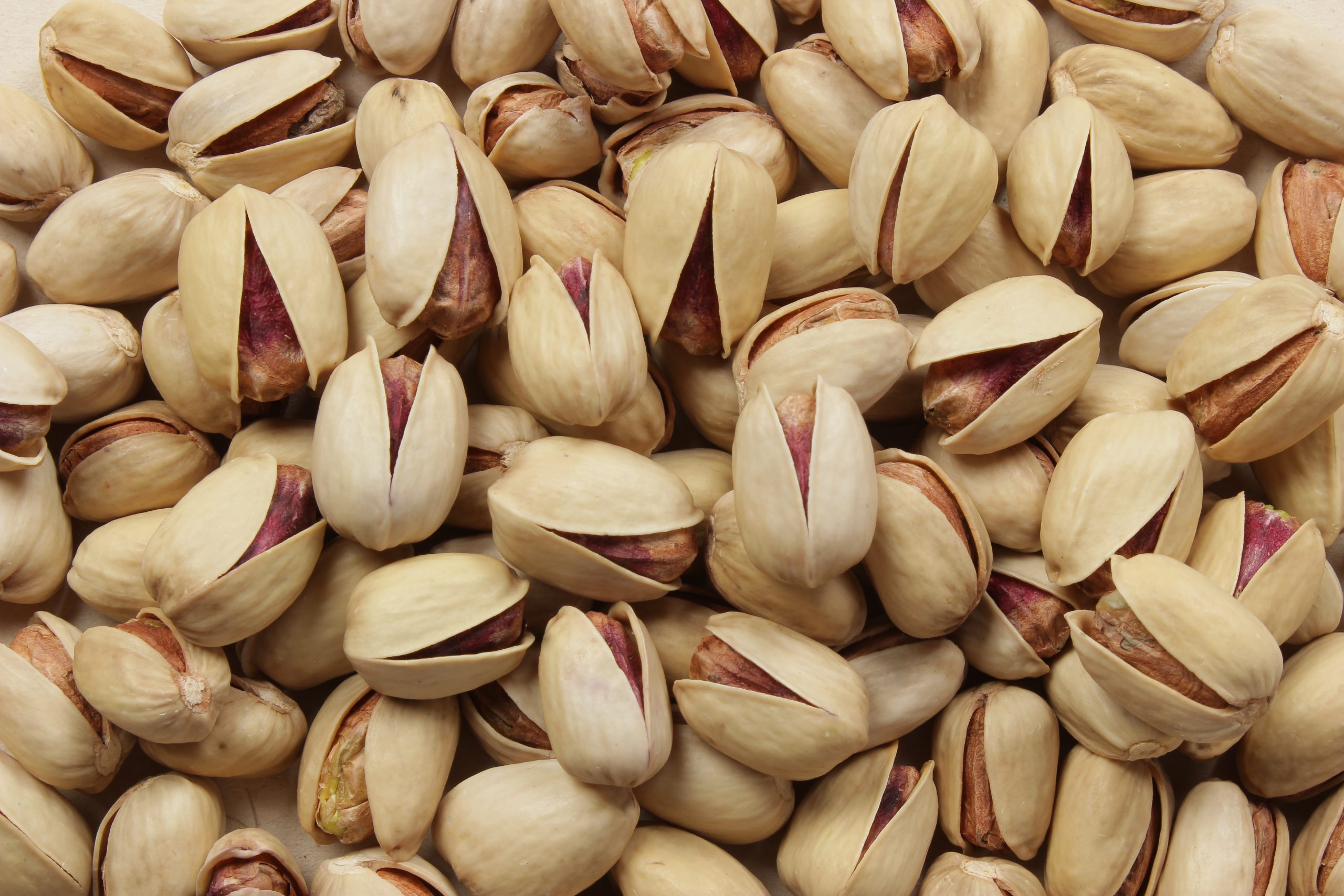 فروش پسته صادراتی کله قوچی رفسنجان