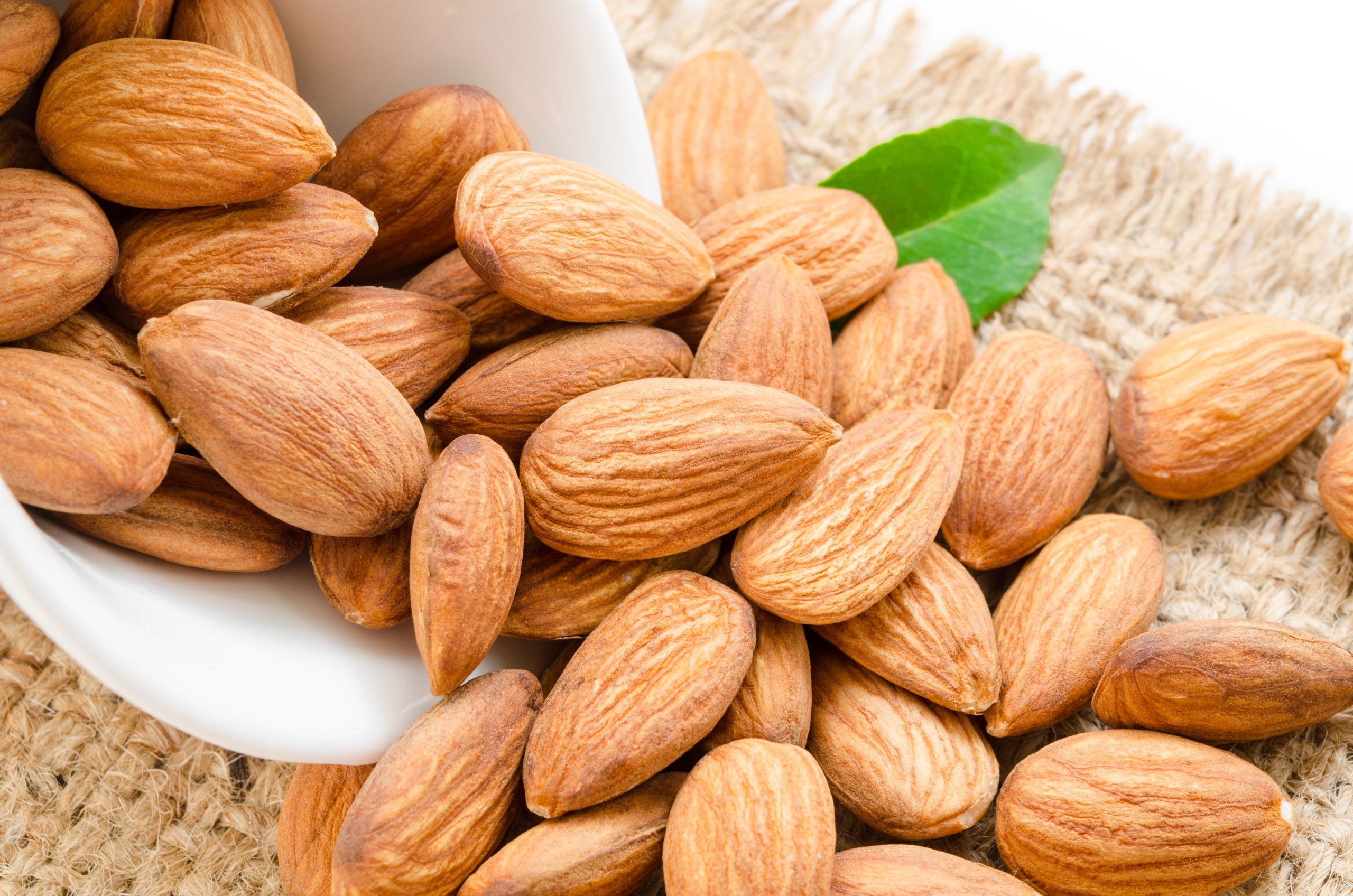 صادرات مغز بادام شیرین ایرانی