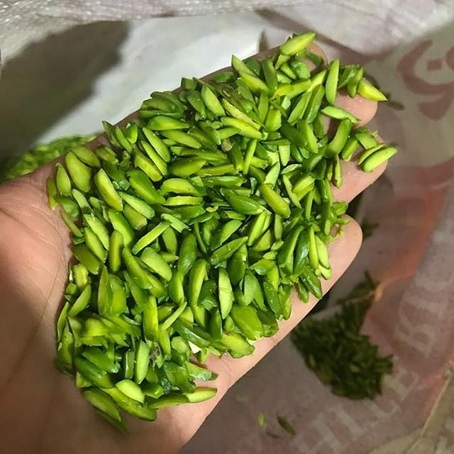 خرید مغز پسته قزوین