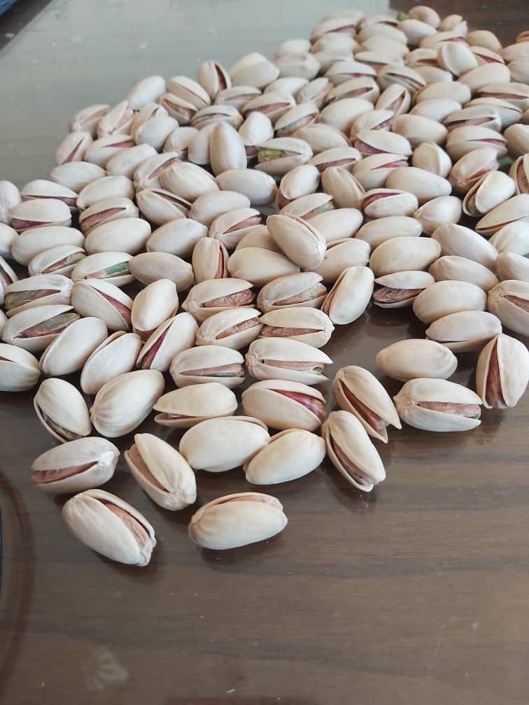 نرخ پسته اکبری برای صادرات به دبی