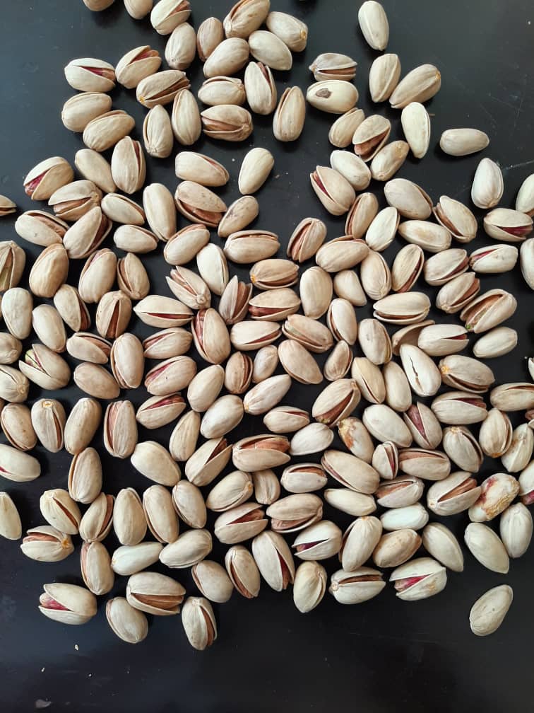 صادرات انواع پسته ایران به روسیه