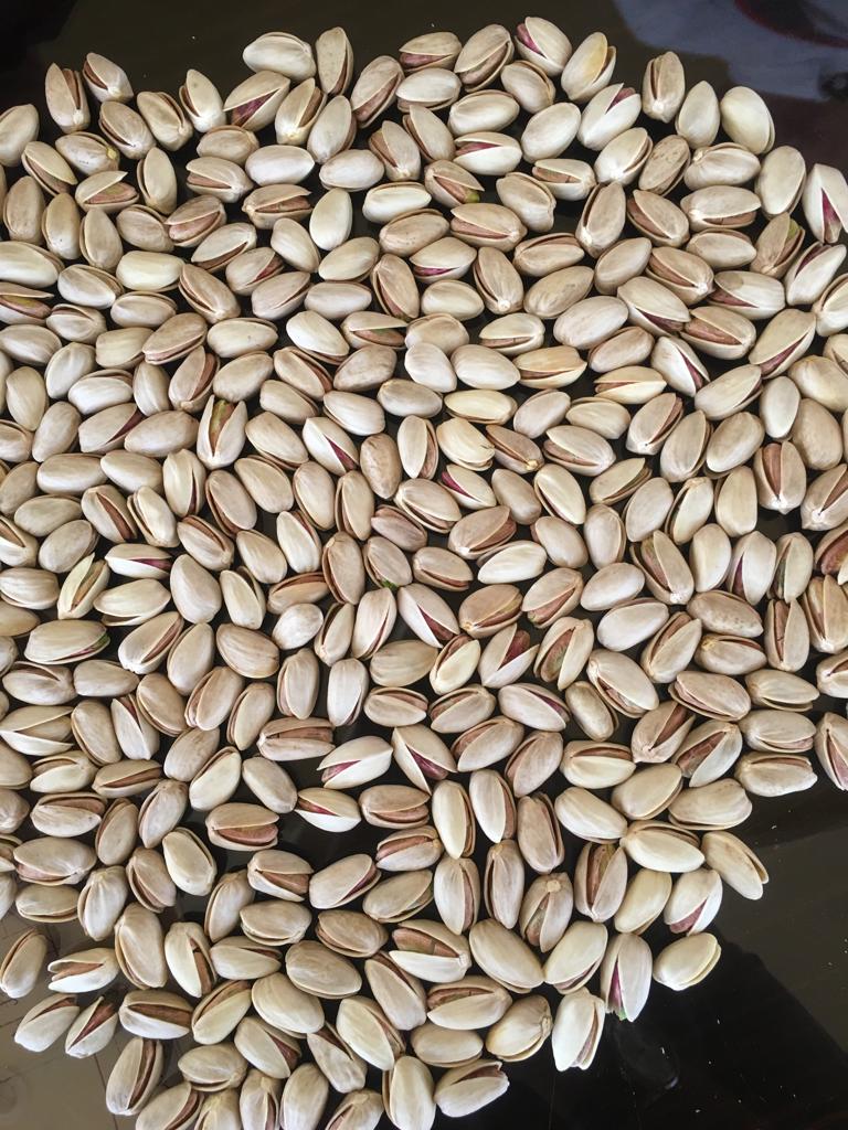 خرید پسته احمد آقایی عمده