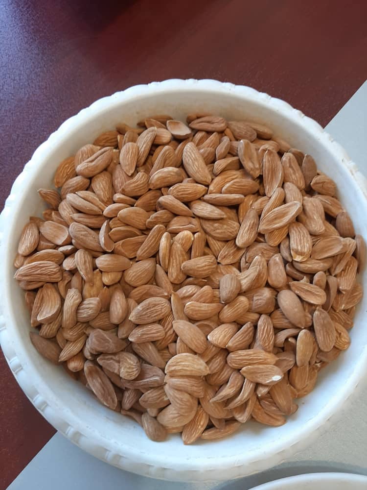 صادر کننده بادام مامایی سامان به اروپا