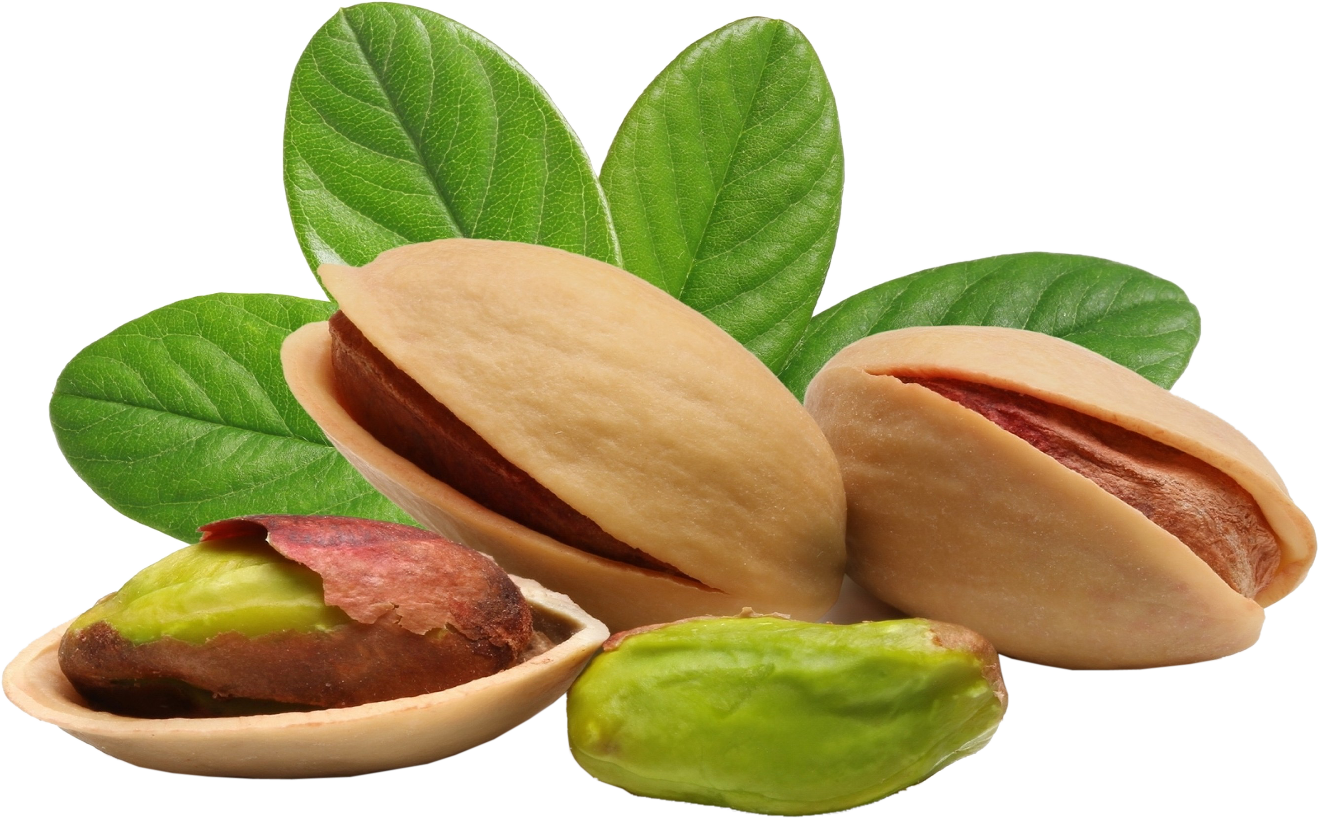صادرات عمده پسته به کشورهای همسایه