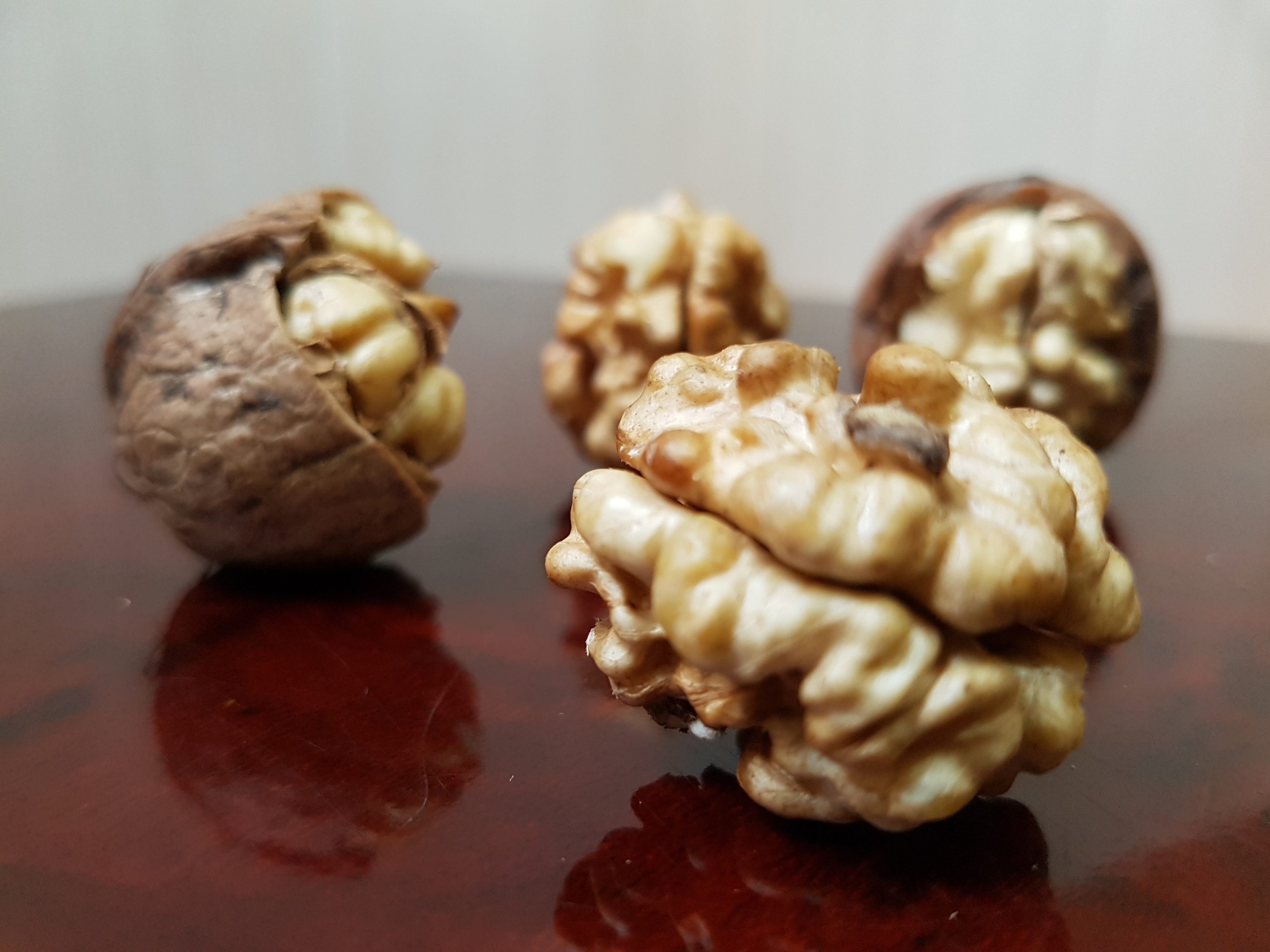 مرکز فروش مغز گردو درجه یک در شیراز