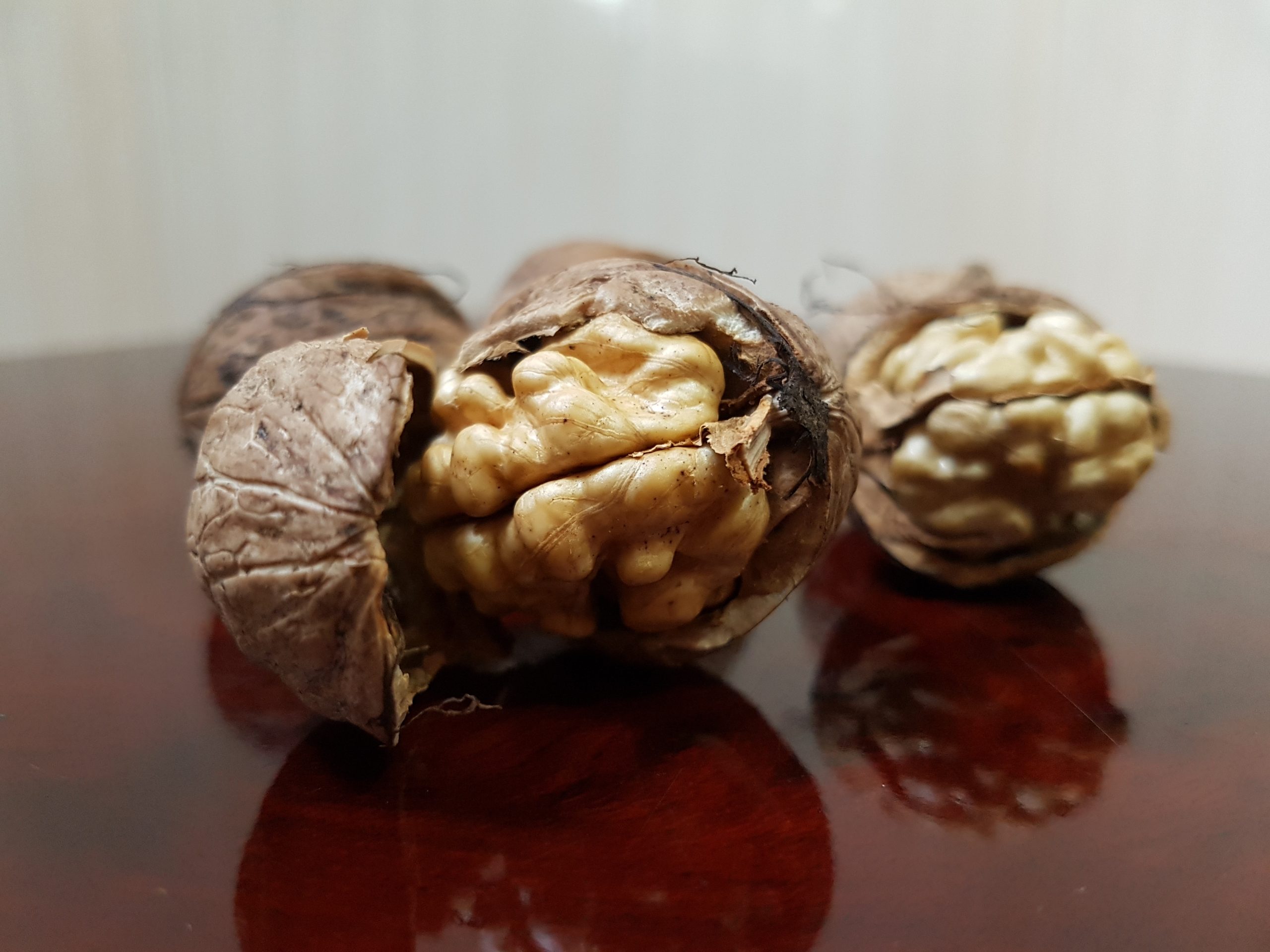 صادر کننده گردو تویسرکان به عراق