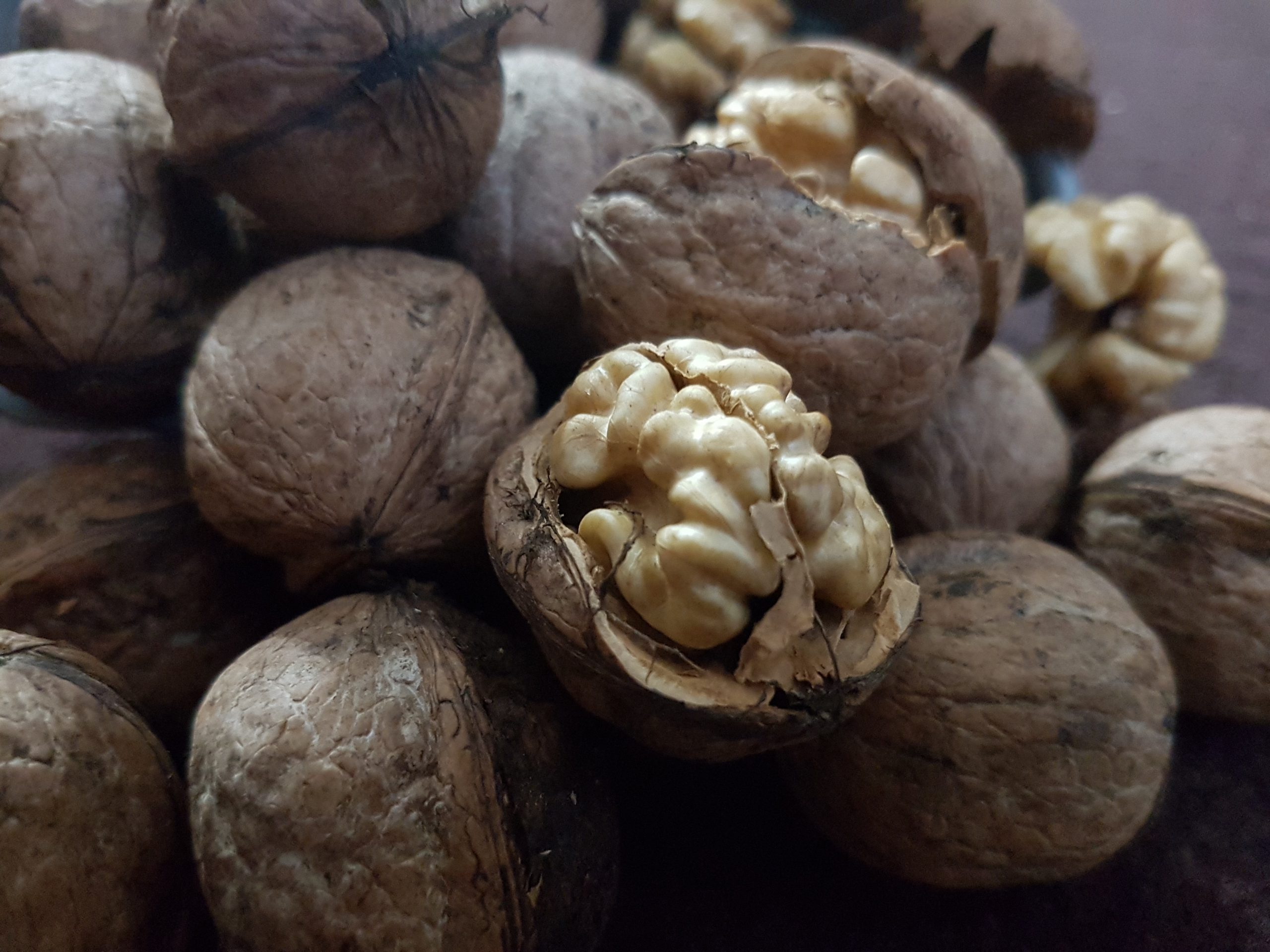 خرید عمده مغز گردو بوانات فارس