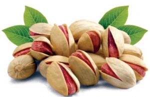 صادرات بادام مامایی و پسته به هند