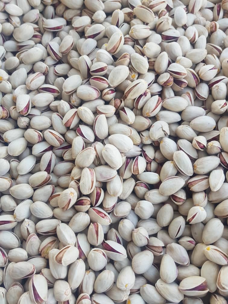 قیمت پسته احمد آقایی درجه یک کرمان