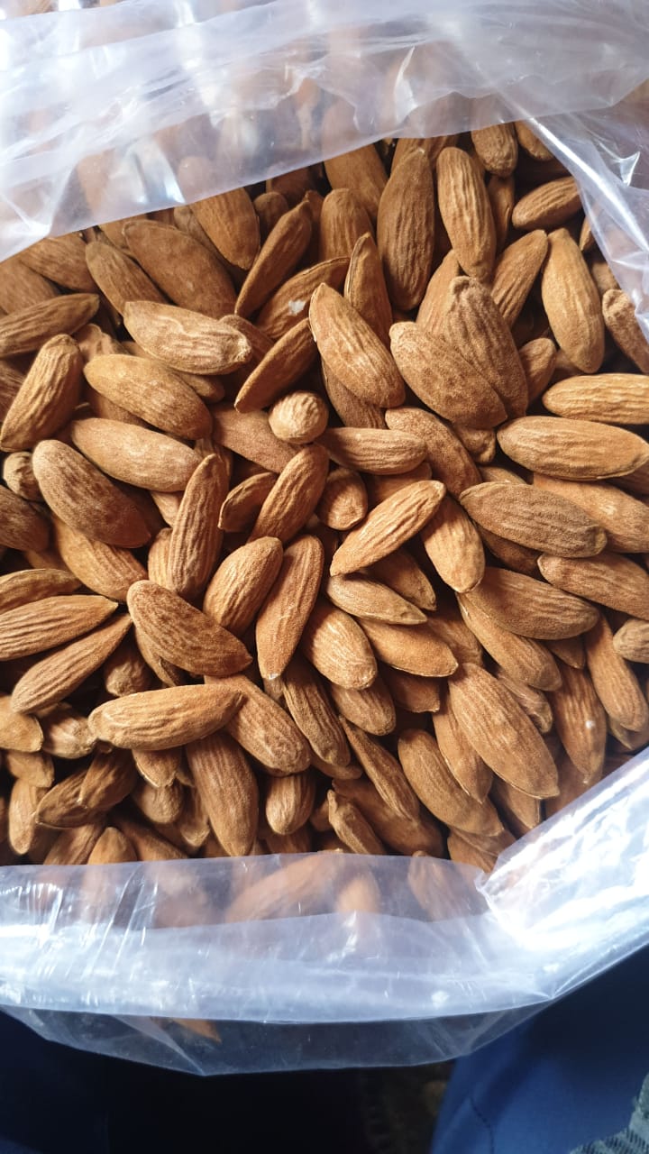 خرید و قیمت مغز بادام مامایی برای صادرات