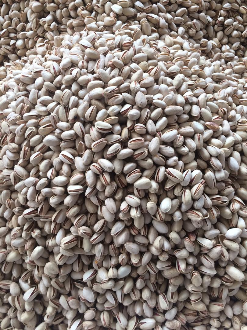 فروش عمده پسته اکبری در عراق