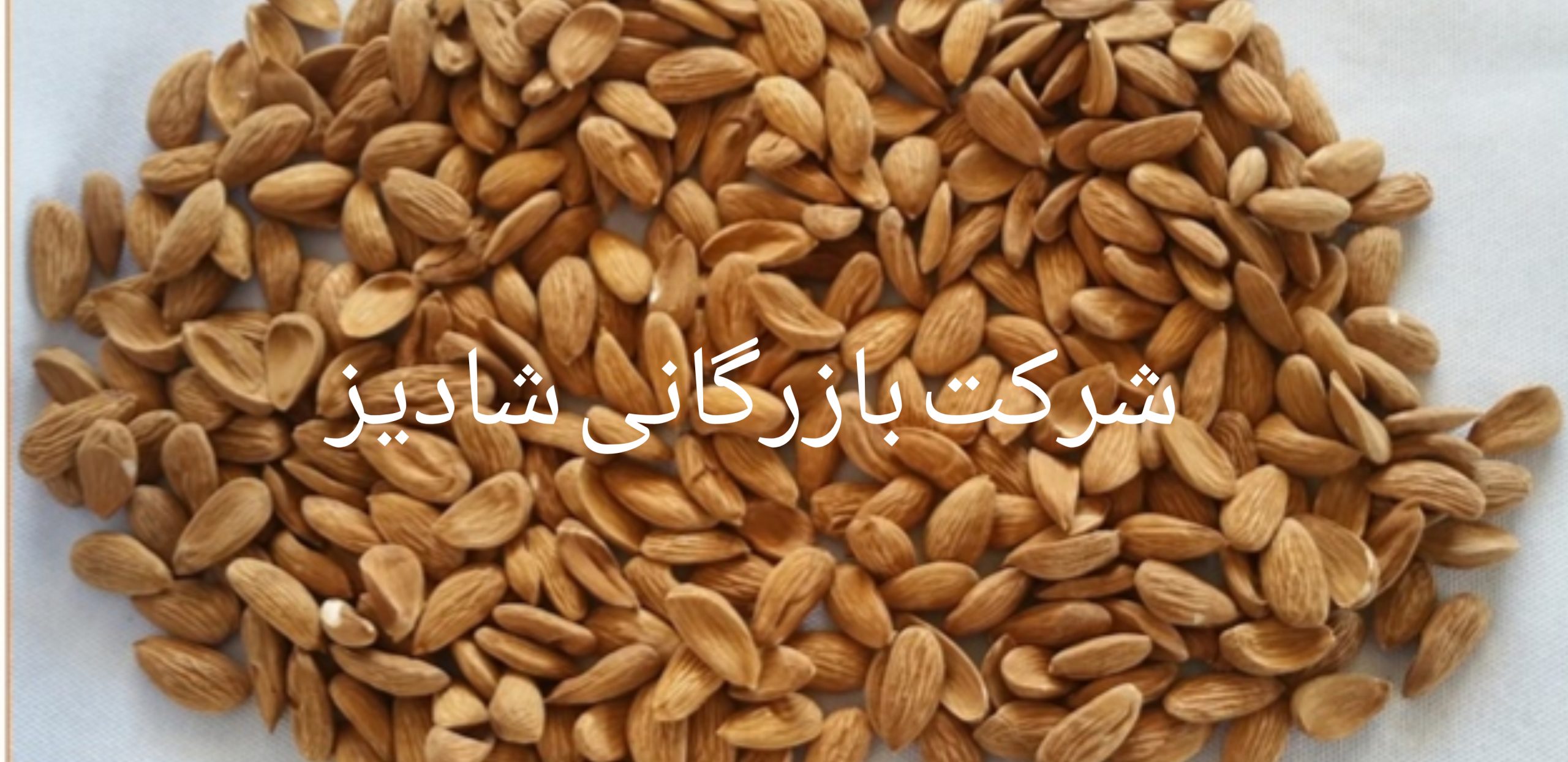 صادرات بادام مامایی ایران به هندوستان