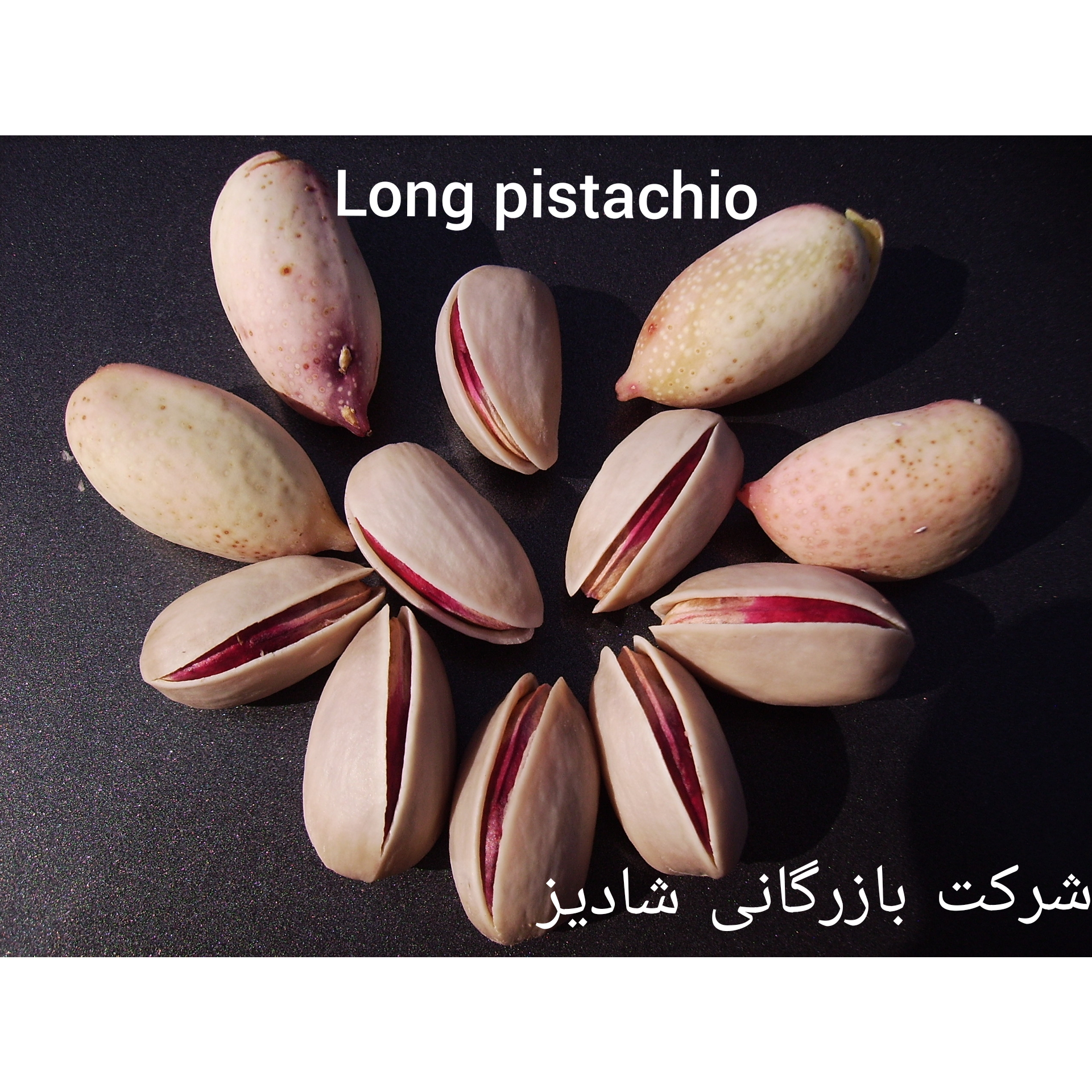 خرید پسته احمد آقایی خام رفسنجان