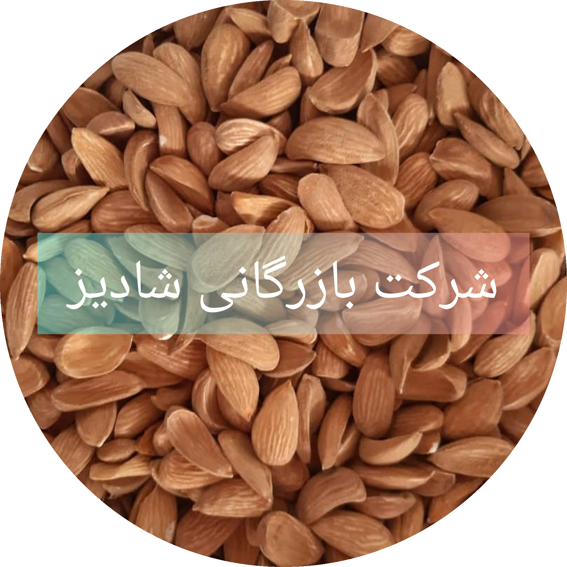شرکت صادرات مغز بادام مامایی سامان