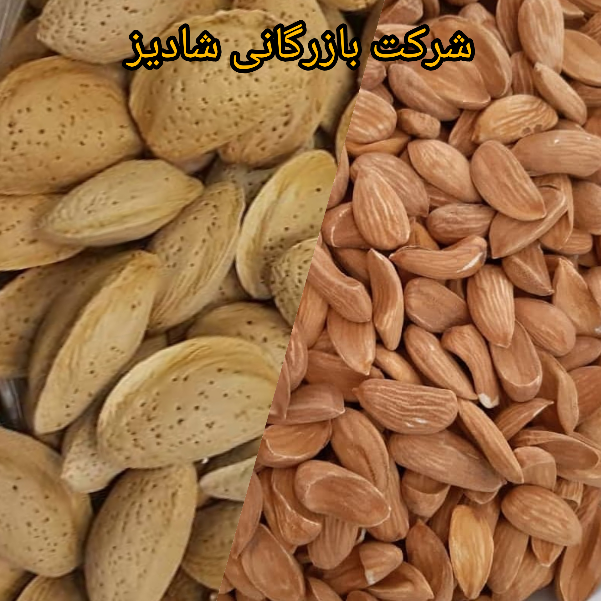 قیمت خرید بادام مامایی تازه ایران