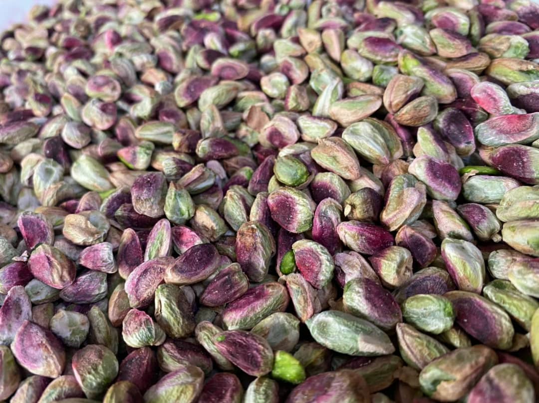 صادرات مغز پسته سبز به ترکیه