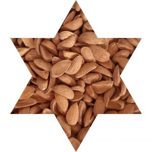 بازار بادام مامایی ایرانی در داخل کشور