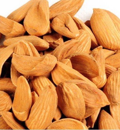 فروش عمده بادام صادراتی به هند