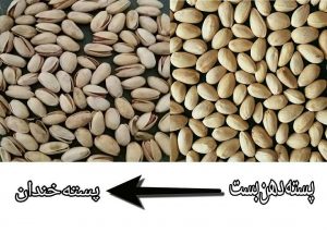 قیمت فروش عمده پسته دهن بست کله قوچی