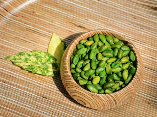 قیمت انواع مغز پسته کال سبز