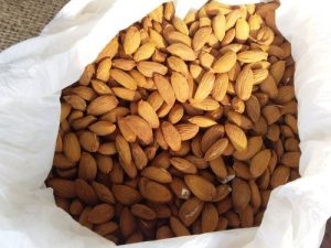 صادر کننده مغز بادام مامایی سامان