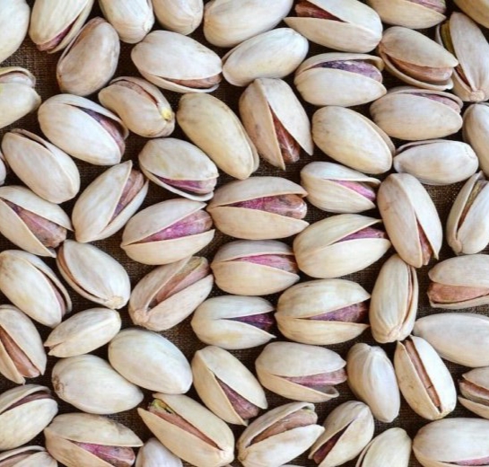 پسته اکبری ایرانی super long pistachio