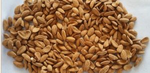 صادرات بادام درختی ایران به ترکیه