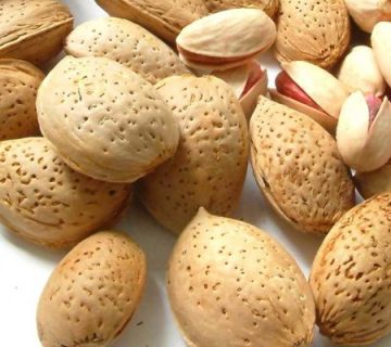 شرکت تولید کننده بادام