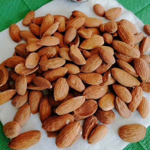 شرکت صادرات بادام و خشکبار ایرانی