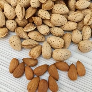 شرکت تولید،فروش و صادرات بادام 