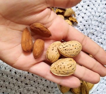 عرضه کننده بادام سفید صادراتی