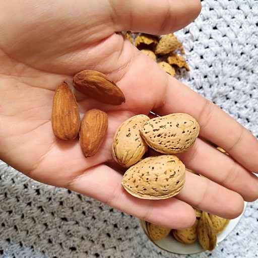 عرضه کننده بادام سفید صادراتی