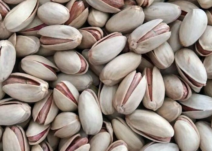 خرید انواع پسته اکبری درجه یک