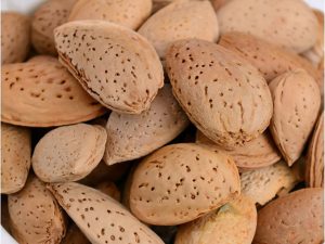 بادام سنگی ایرانی(Stone Almond)